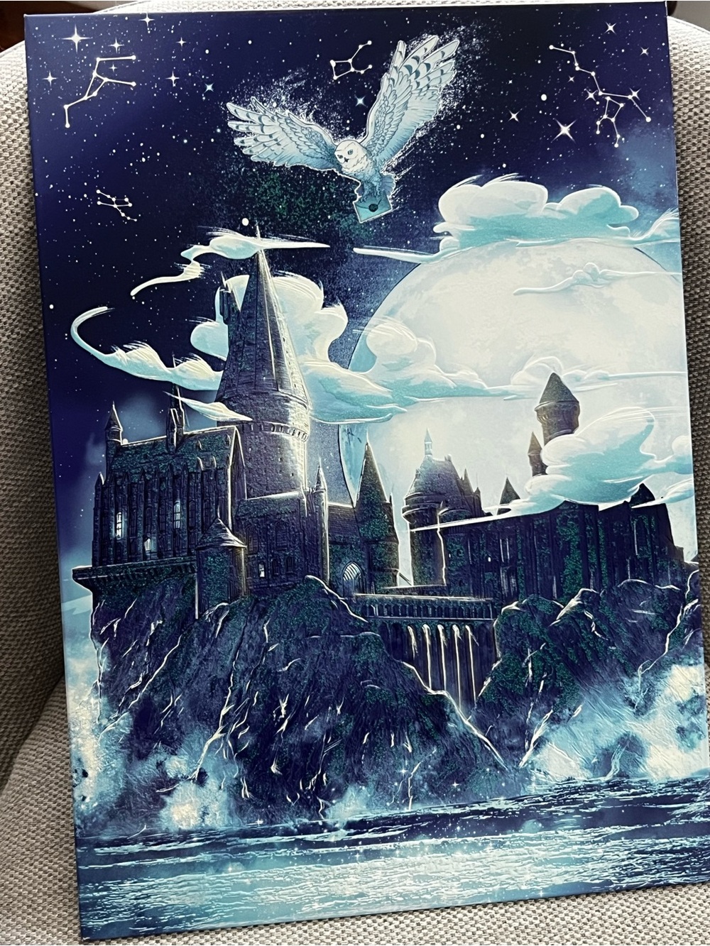 LE Displate Metal Poster featuring Hogwarts Castle from Harry Potter